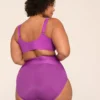 Level 2 Totally Smooth High-Waist Brief Panty Hyacinth Violet -Lanebryant Shop 400730 0000007846 Back