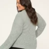 Trellis Knit Pullover Sweater Cool Silver -Lanebryant Shop 413046 0000008471 Back