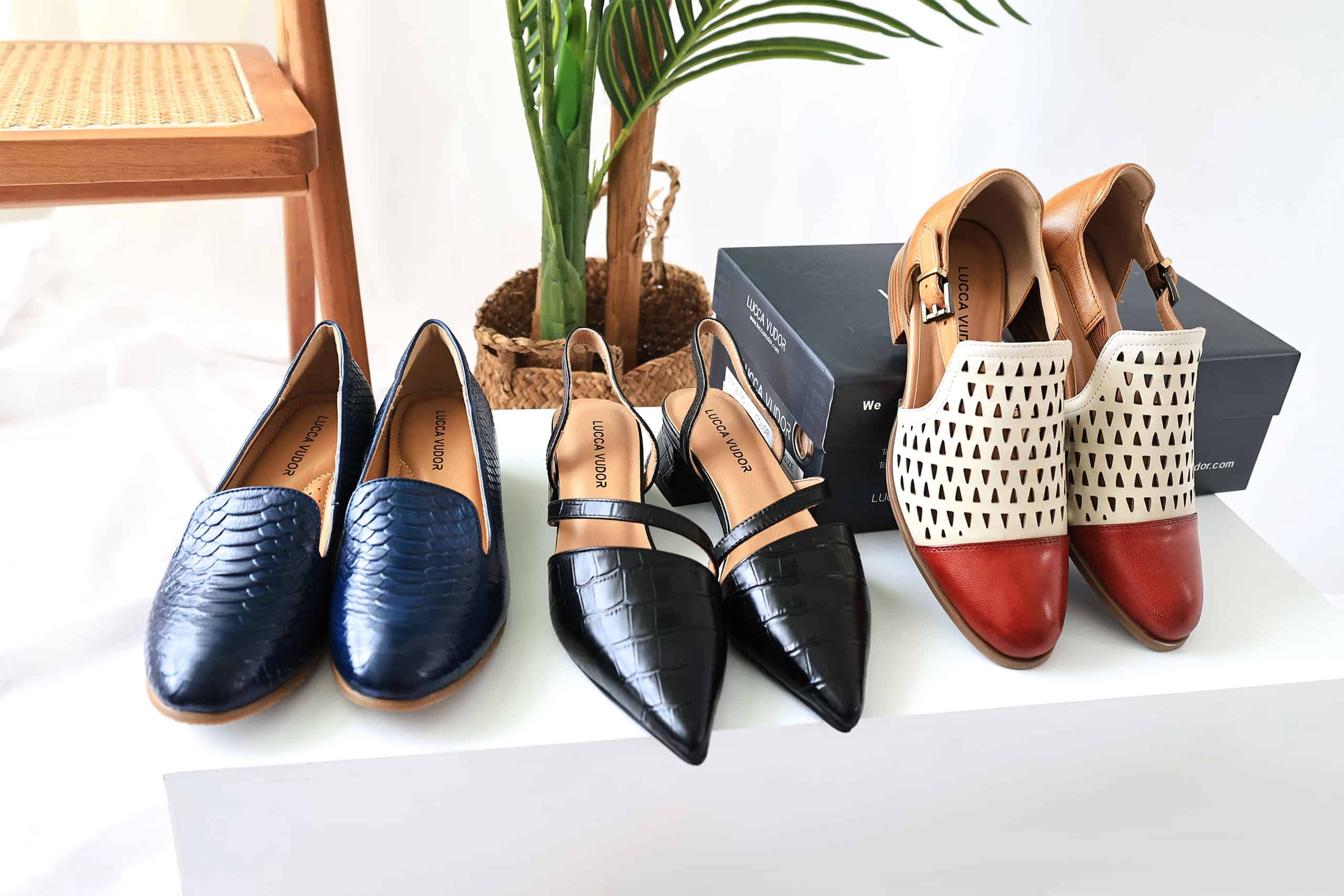 Lanebryant Shop -Lanebryant Shop Banner 0000s 0001 Lucca Vudor 17